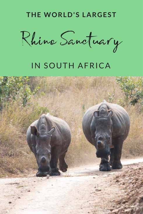 Rhino Sanctuary in South Africa - Care for Wild Africa