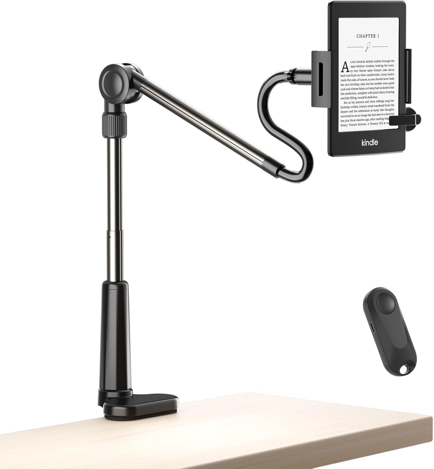 Kindle reading accessories