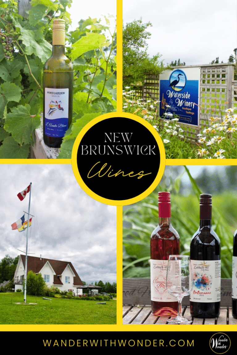 Delve into New Brunswick Wine