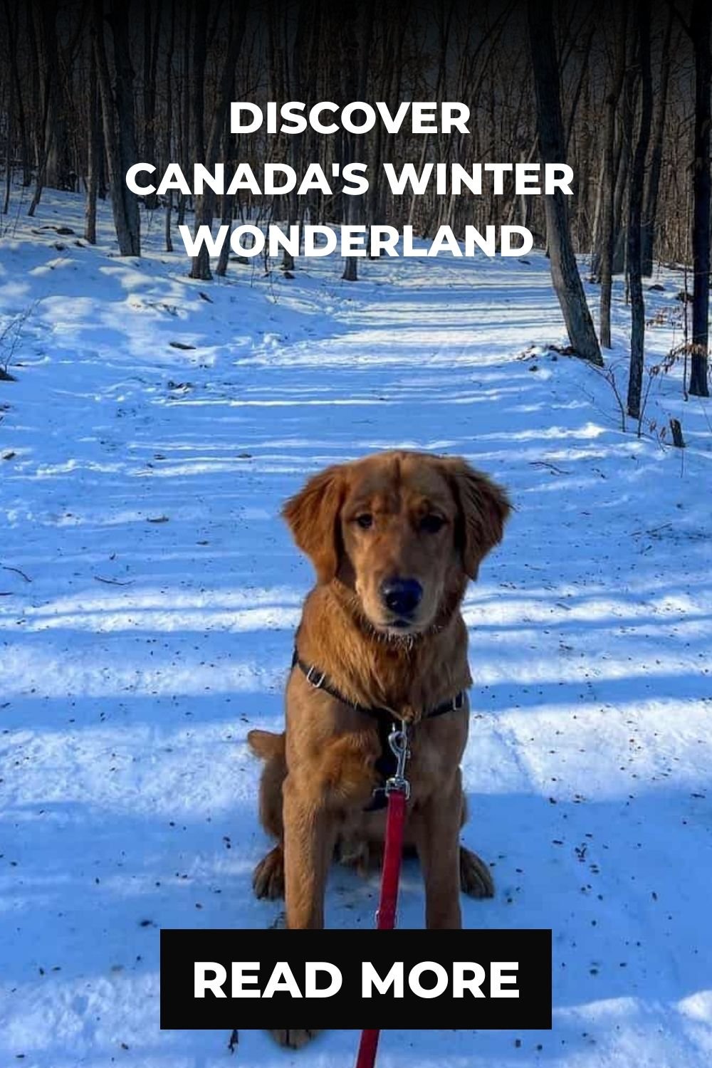 Discover Canada's Winter Wonderland