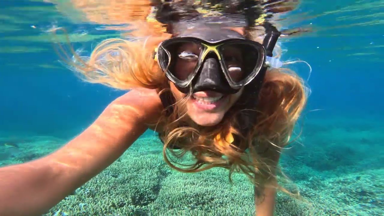 Island travel: Coral Reefs