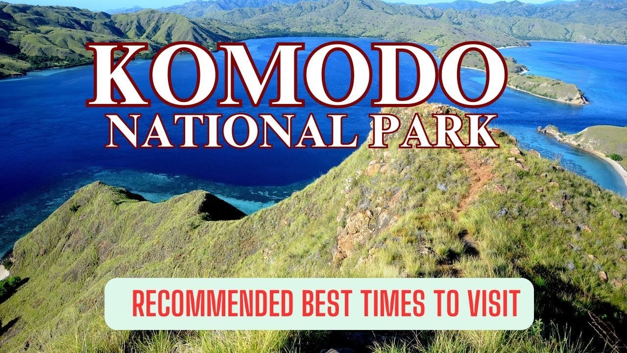 Island travel: Marine Life