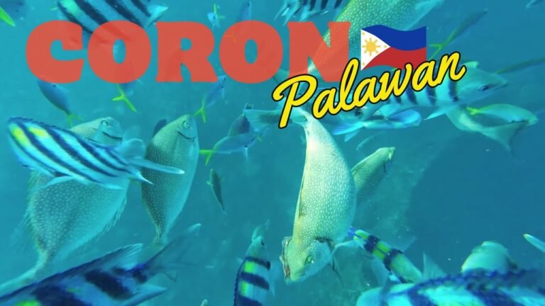 Island travel: Island Tours