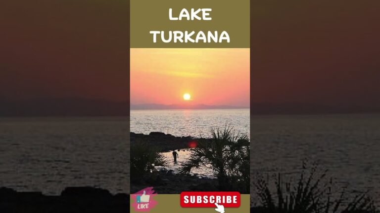 travel Guided Nature Walks