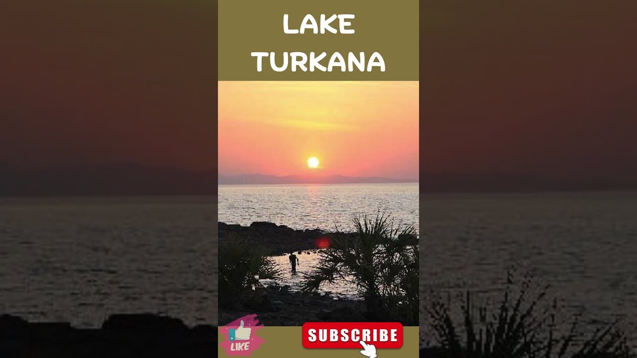 travel Guided Nature Walks