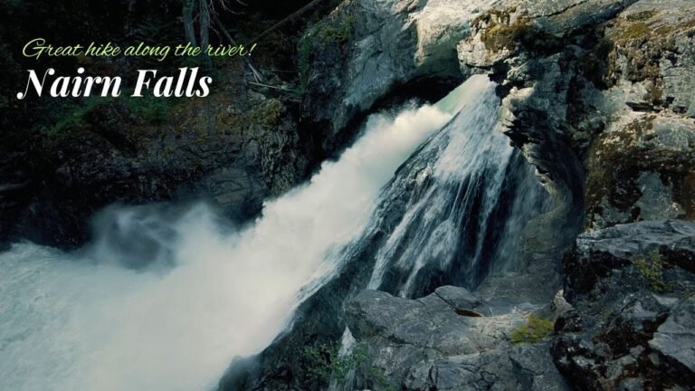 travel Guided Nature Walks