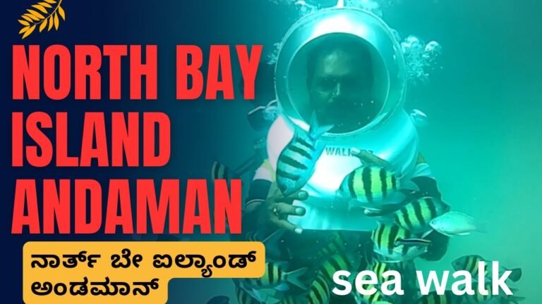 Island travel: Coral Reefs