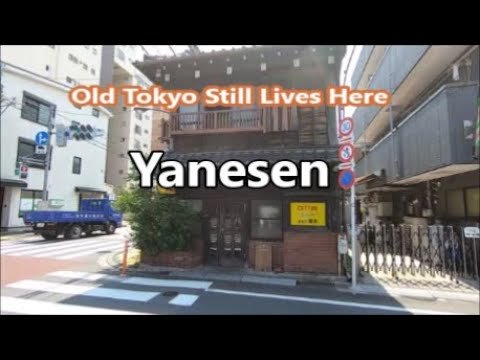 solo travel: Solo Female Travelers