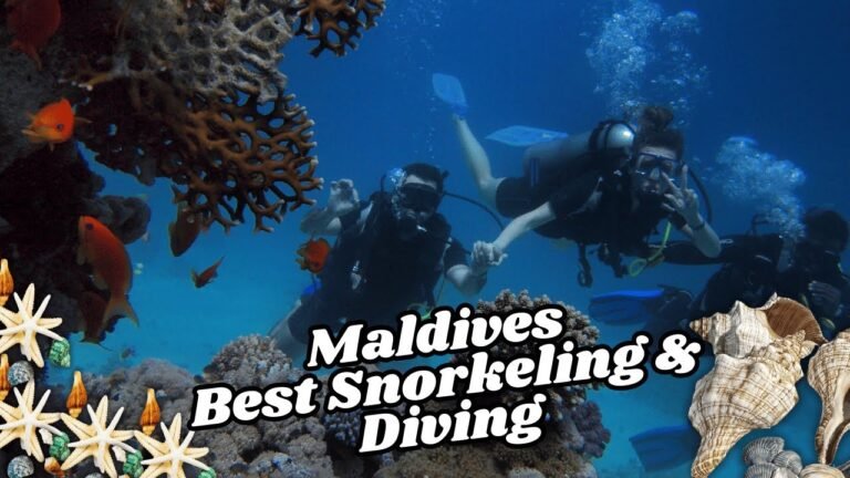 Island travel: Marine Life