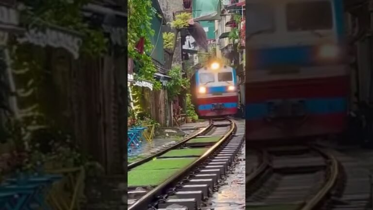 Train travel: Rail Passes