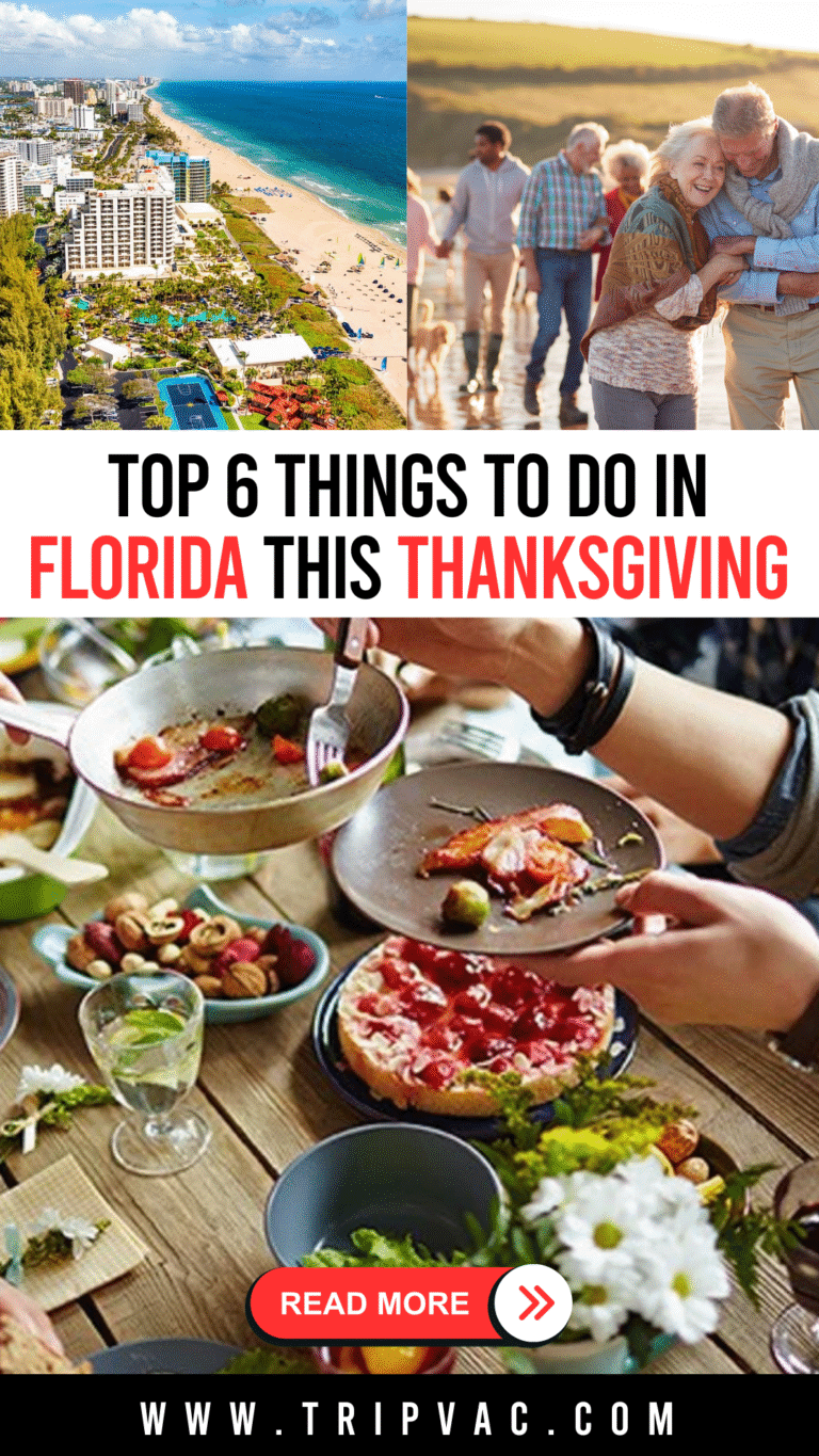 Top 6 Things to Do in Florida This Thanksgiving