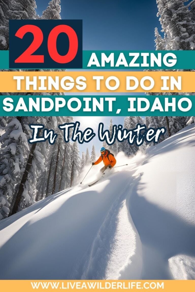 Top Winter Activities in Sandpoint, Idaho: Snowy Adventures & Cozy Spots