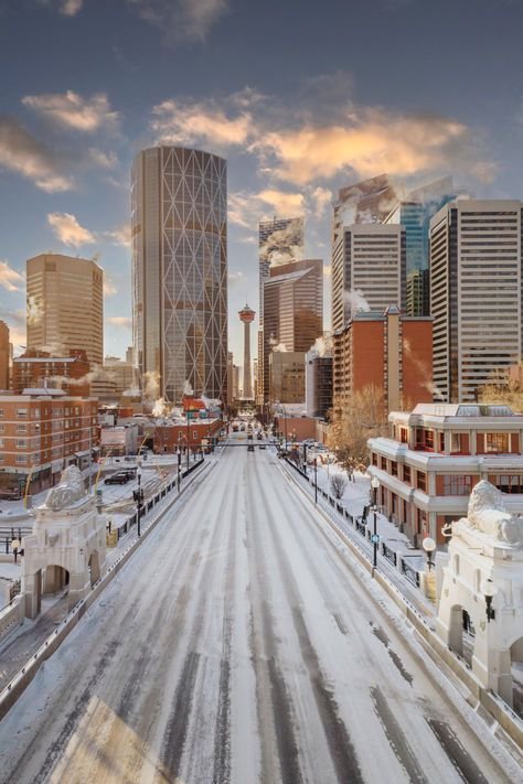 5 Reasons Why Americans Should Visit Calgary