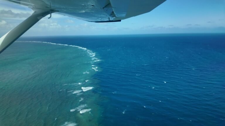 Island travel: Coral Reefs