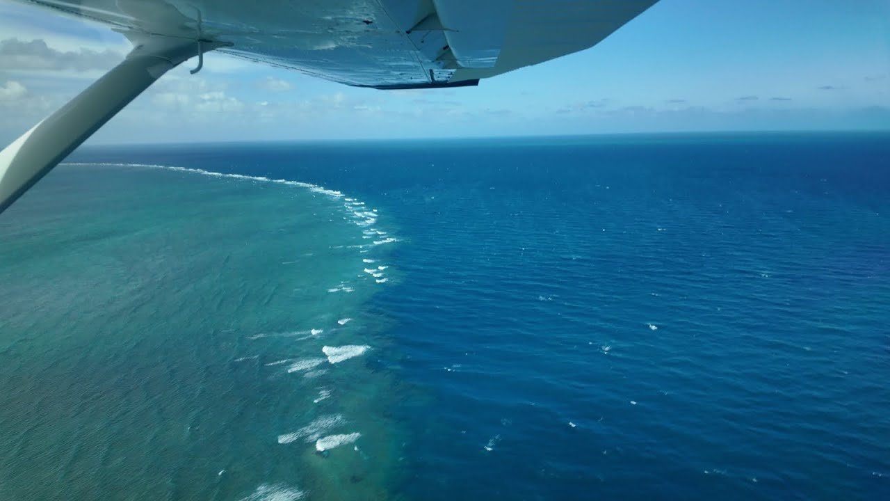 Island travel: Coral Reefs