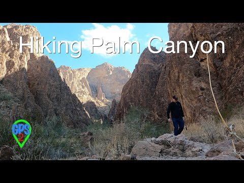 solo travel: Solo Adventures