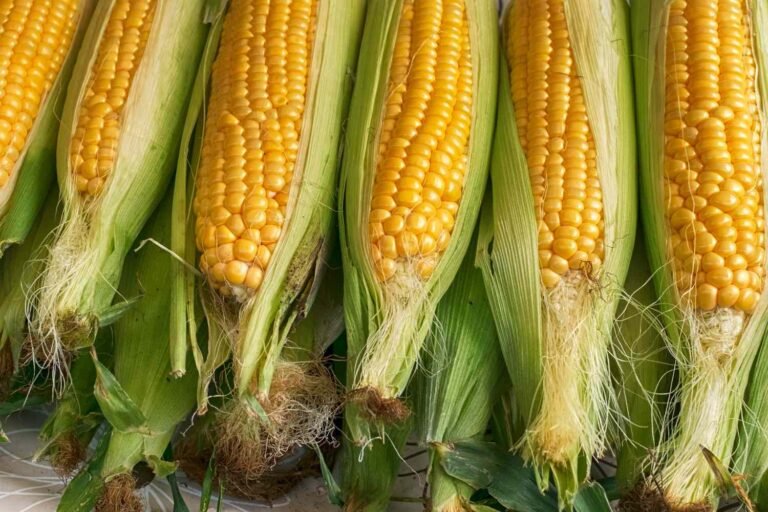 How To Choose the Best Corn Every Single Time, According to Two Corn Farmers