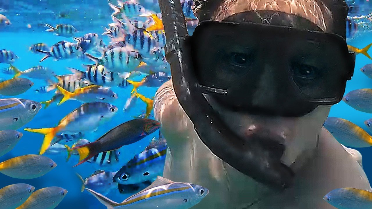 Island travel: Snorkeling Adventures