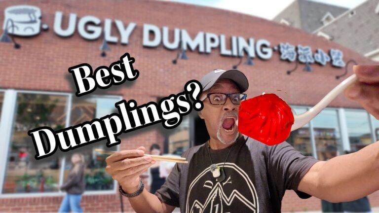 Chinese Food Dumplings