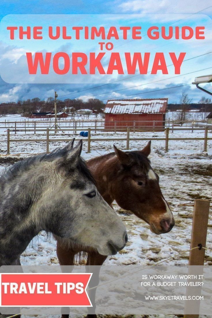 Is Workaway Worth It for a Budget Traveler?