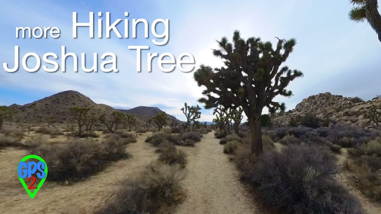 solo travel: Solo Adventures