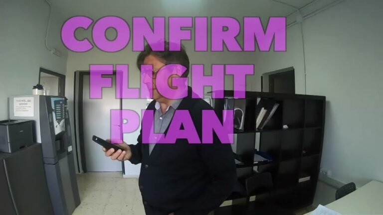 Airplane travel: Pet Travel