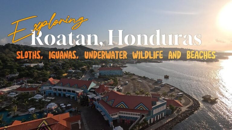 Island travel: Marine Life