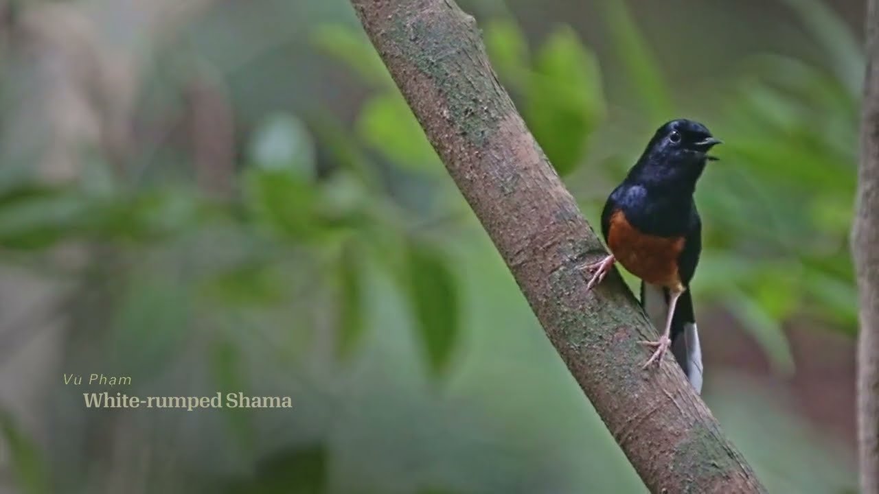 Island travel: Island Photography