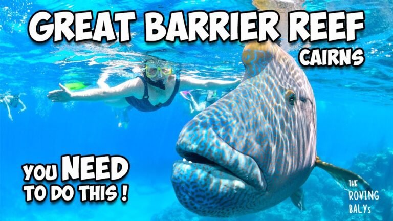 Island travel: Coral Reefs