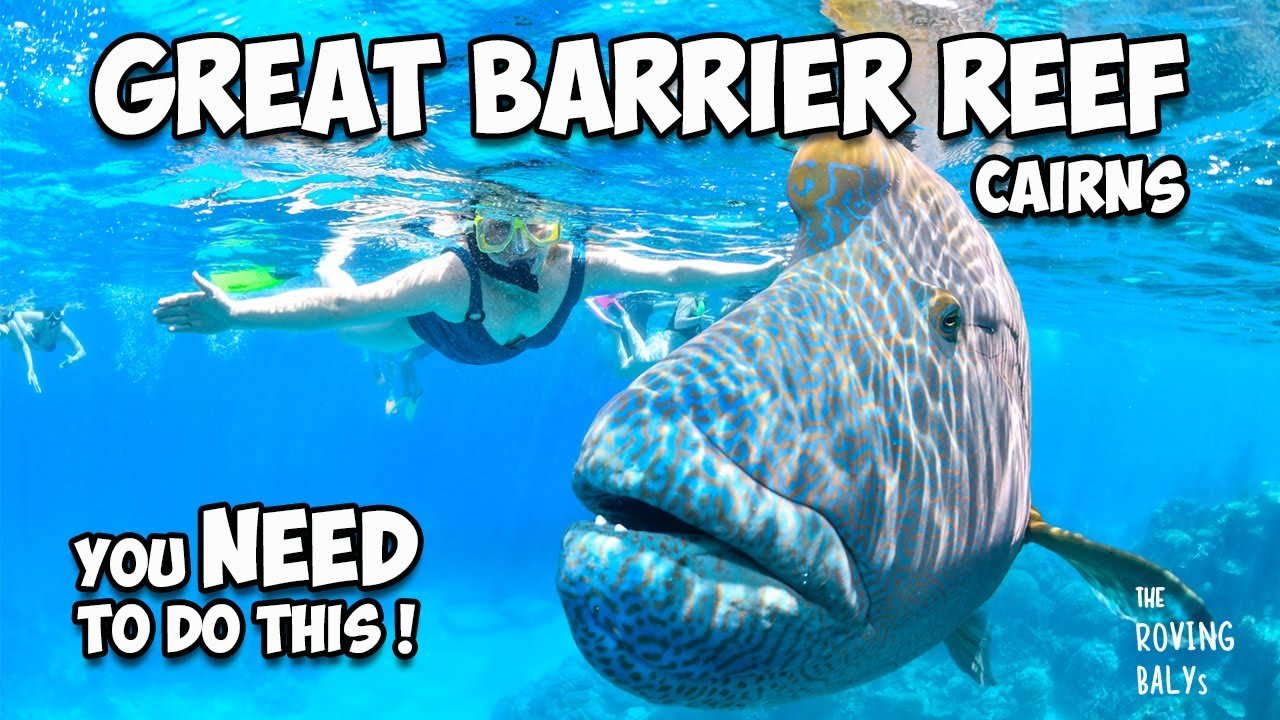 Island travel: Coral Reefs