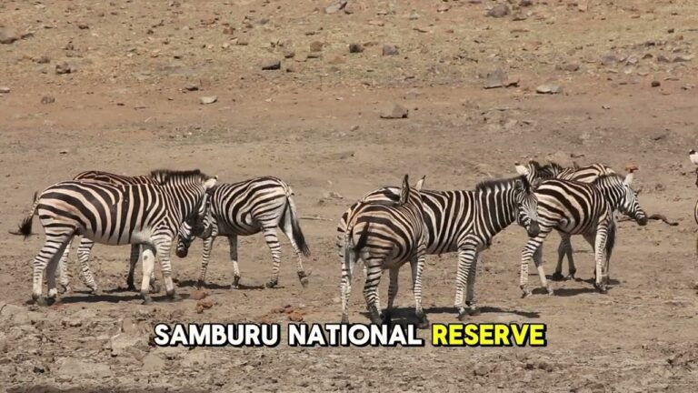 solo travel: Budget Travel