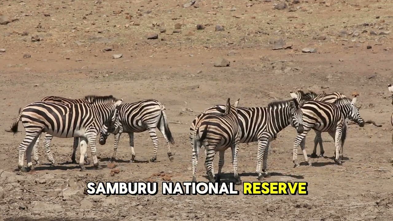 solo travel: Budget Travel