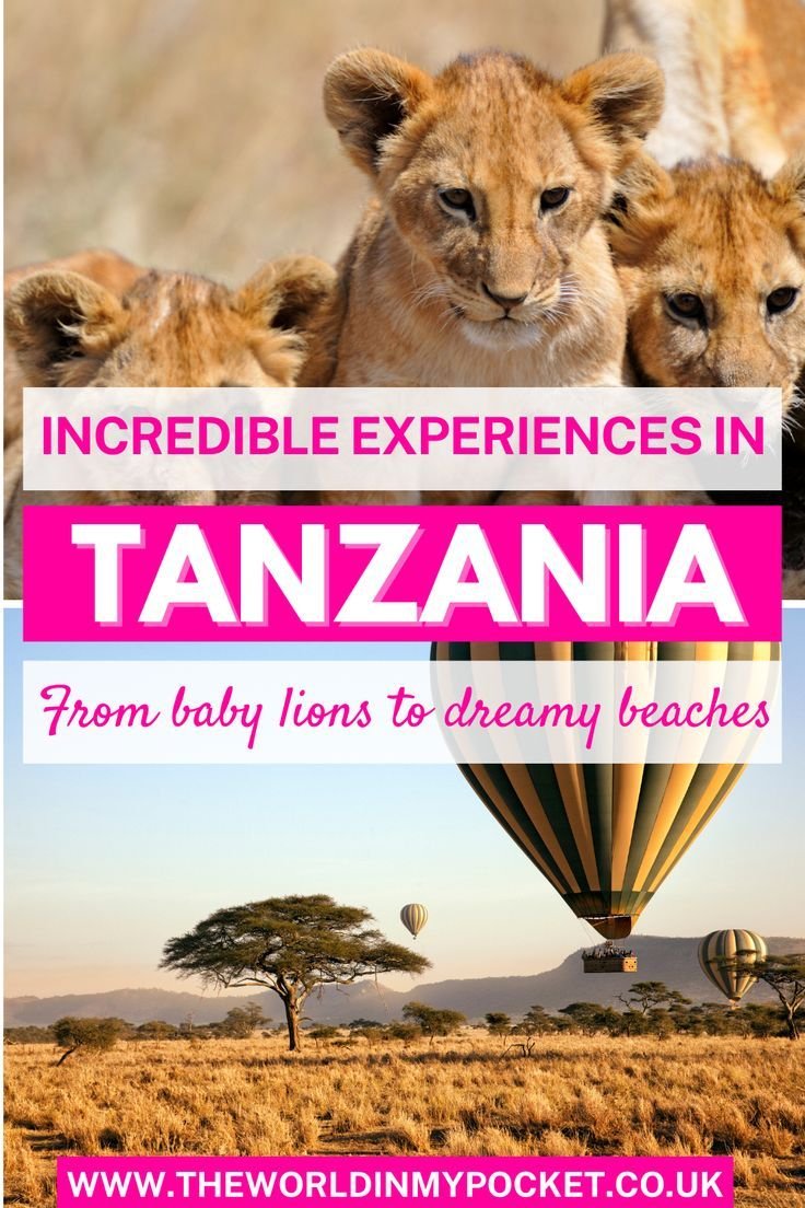 The best things to do in Tanzania