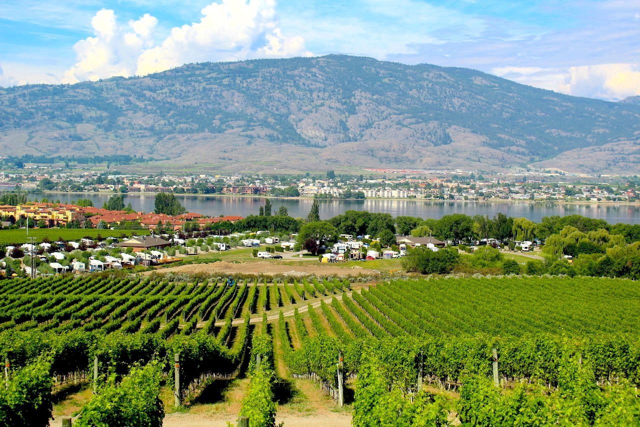This Underrated Canadian Wine Region Is the Next Napa Valley