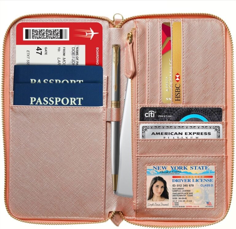 Travel document organizer