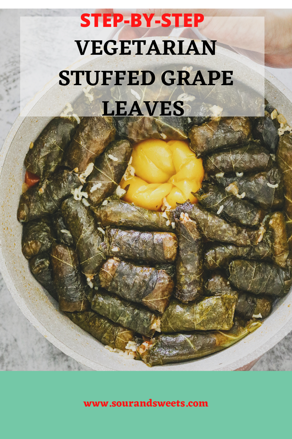 VEGETARIAN STUFFED GRAPE LEAVES RECIPE | Dolma recipe