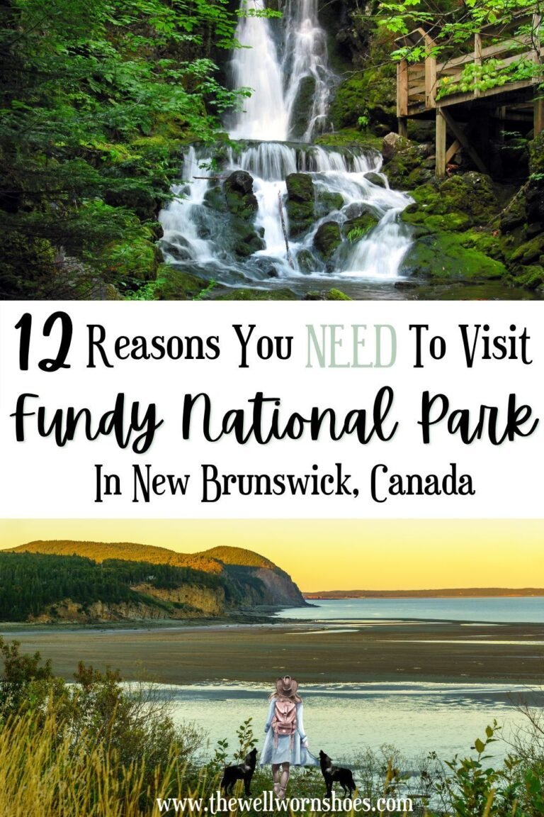 12 Reasons You NEED To Visit Fundy National Park!