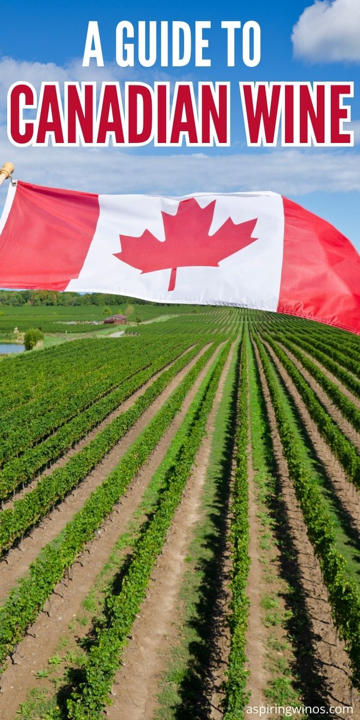 A Guide to Canadian Wine