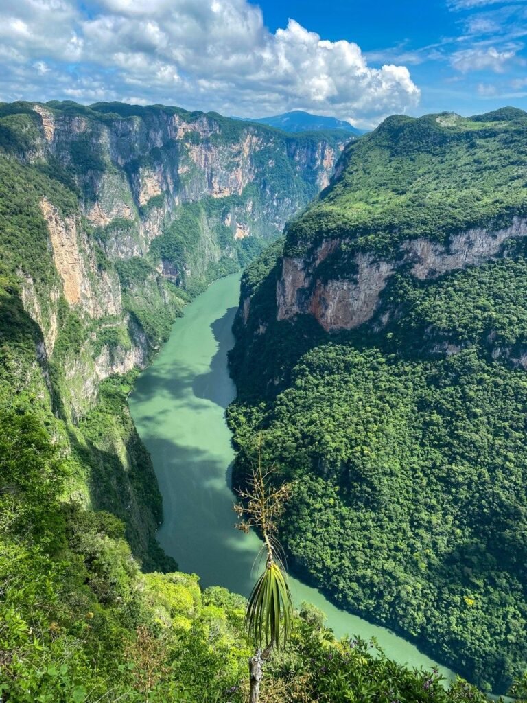 Chiapas Mexico Travel Guide - Suzi On The Move