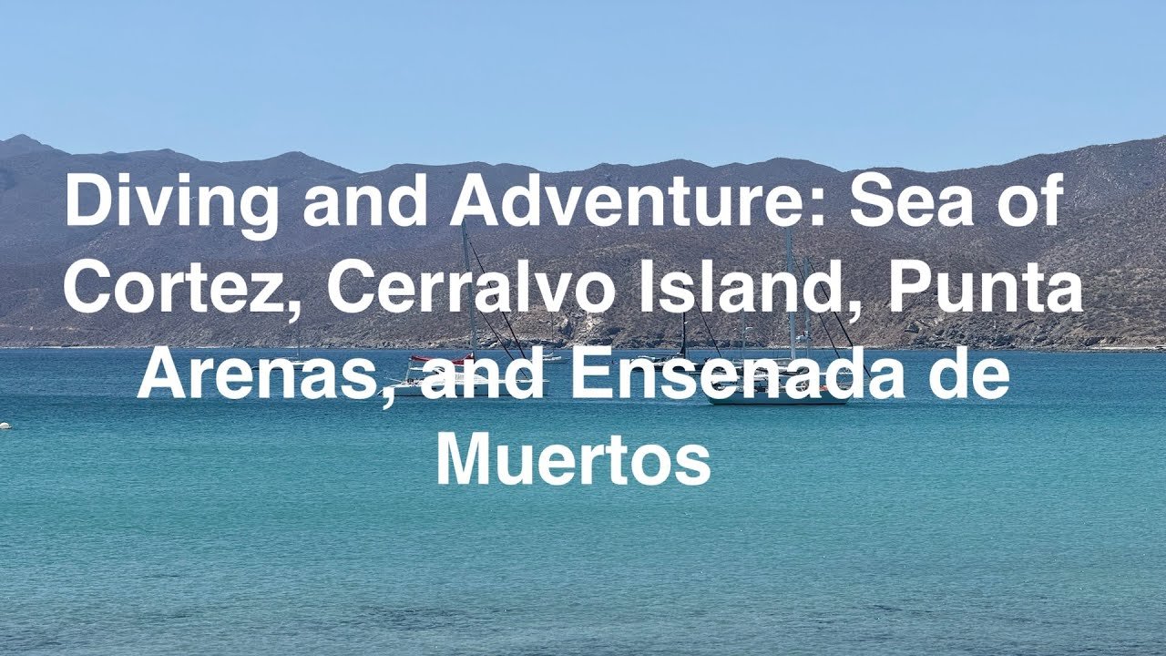 Island travel: Marine Life