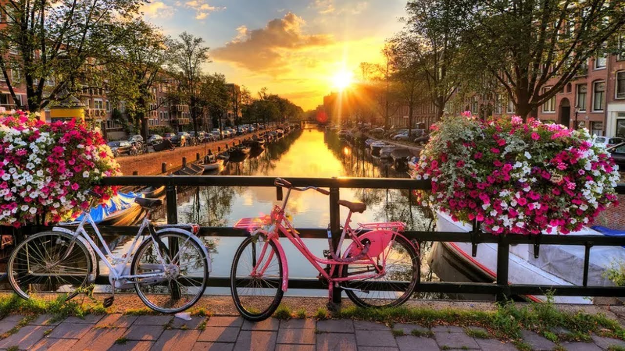 Discover Amsterdam