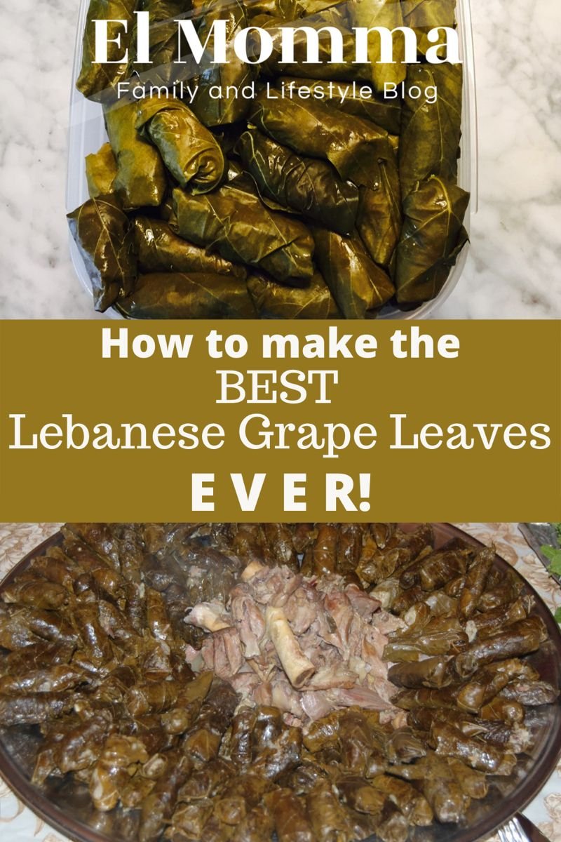 How To Make the Best Lebanese Grape Leaves Ever! – El Momma's Blog