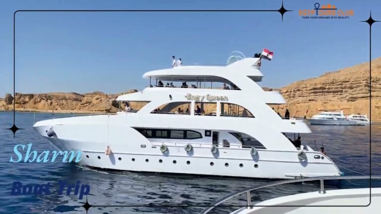 Ship travel: Yacht Charters