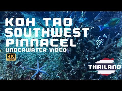 Island travel: Marine Life