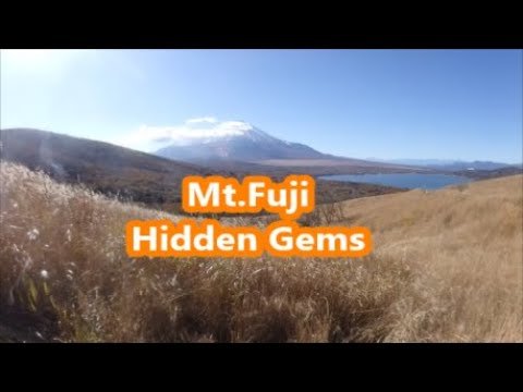 solo travel: Solo Female Travelers