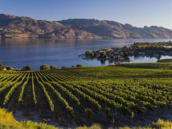 This Underrated Canadian Wine Region Is the Next Napa Valley
