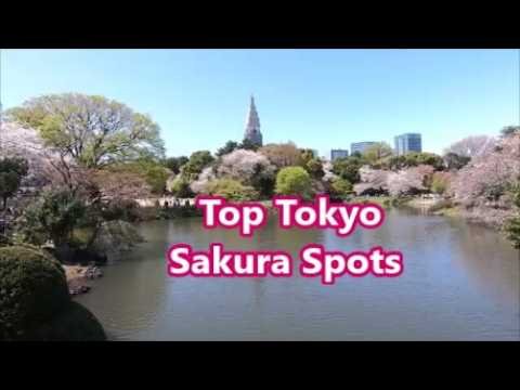 solo travel: Solo Female Travelers