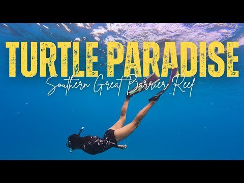 Island travel: Marine Life