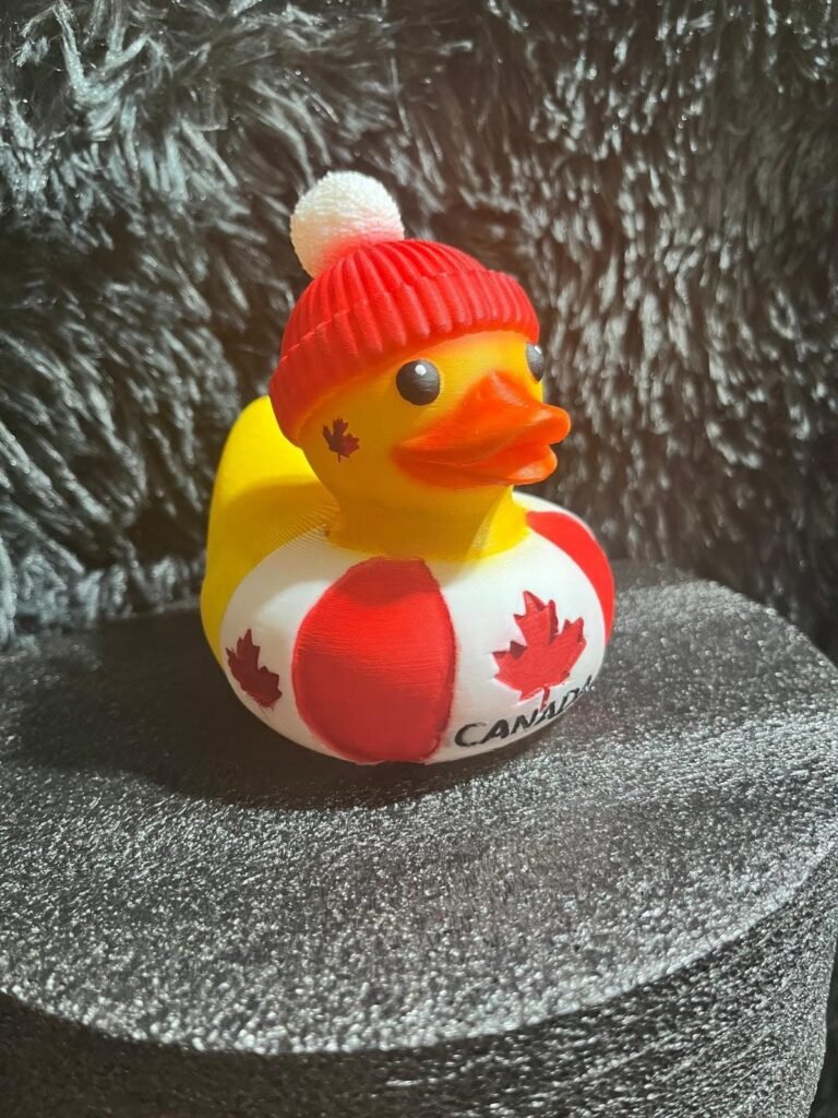 Canadian Duck Hand Painted 3D Printed Pla Acrylic Water proof