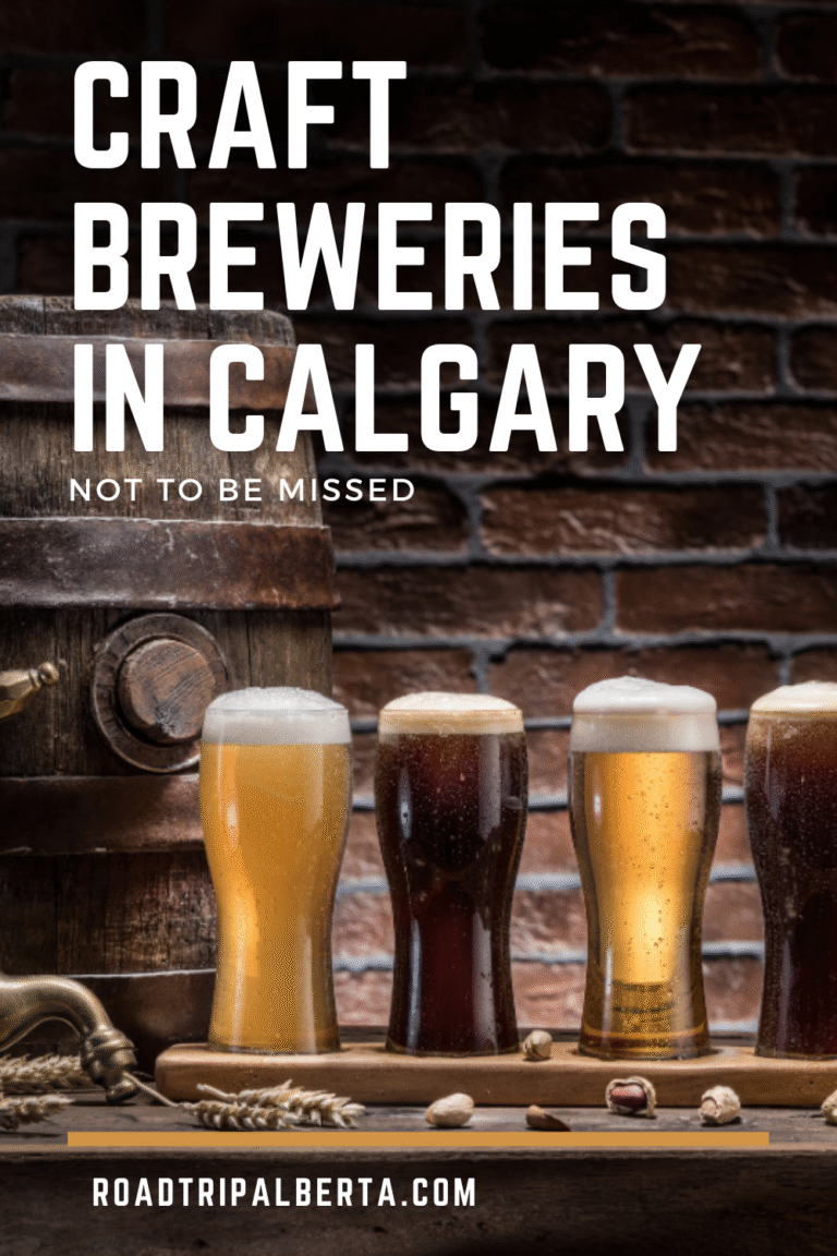 Craft Breweries in Calgary Not to Be Missed